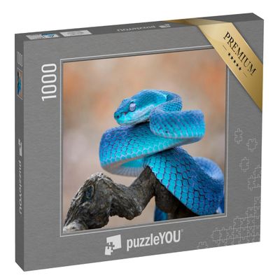 puzzleYOU: 1,000-Piece Puzzle – Blue Viper: Close-Up of a Snake’s Face