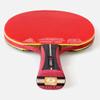 SGAIYUNRT 13-Star Table Tennis Paddle, 5-Ply Wood and 2-Ply Carbon, Long Handle view 4