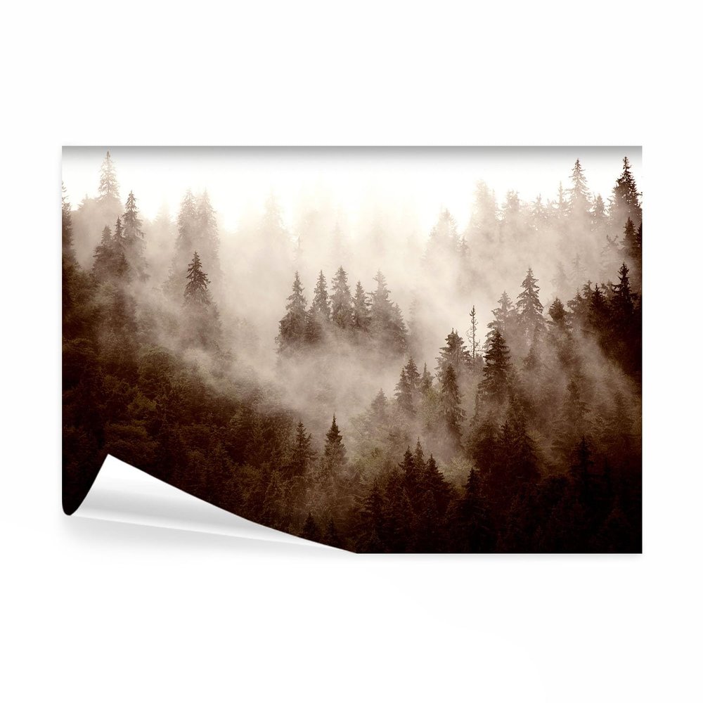 decomonkey Forest Photo Wallpaper, 450 x 315 cm, Animals, Non-Woven, Bedroom Design