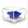 Passionefiori.it S 1011 Luxury Stabilized Rose in Genuine Plexiglass Cube, 8 cm, with Luxury Gift Box, Pink Rose, Blue Cube view 3