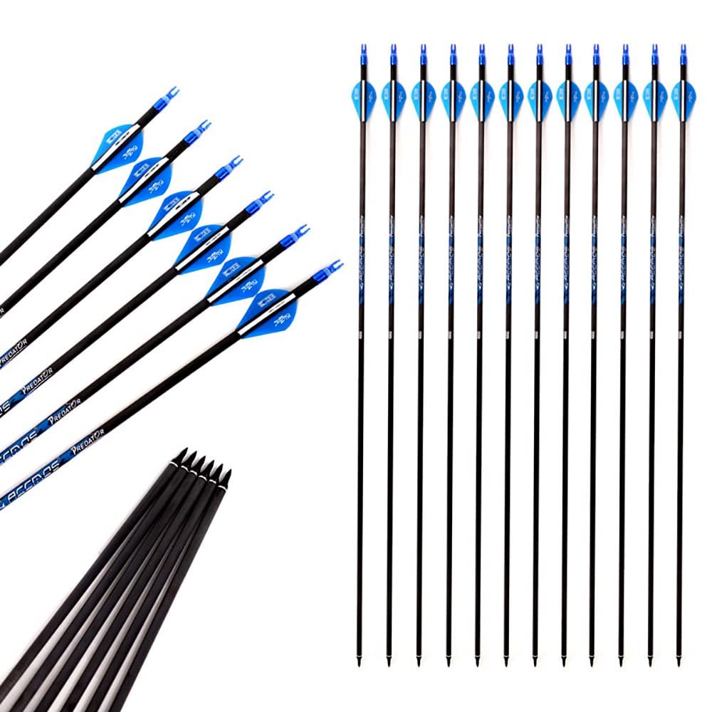 ACCMOS 29-Inch Carbon Arrows, Spine 300, 6.2 mm ID, Blue Explosion-Proof Ring, 12-Pack