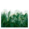 WallArena Non-Woven Photo Wallpaper, Plants, 208 x 146 cm view 1