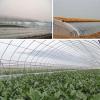 RGRE Clear Waterproof PVC Tarp 2 x 7 m with Eyelets view 3