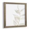 Vogel Design Arne Wooden Frame for 68.6 x 104.1 cm Picture, Apple Wood Look, Acrylic Glass view 1