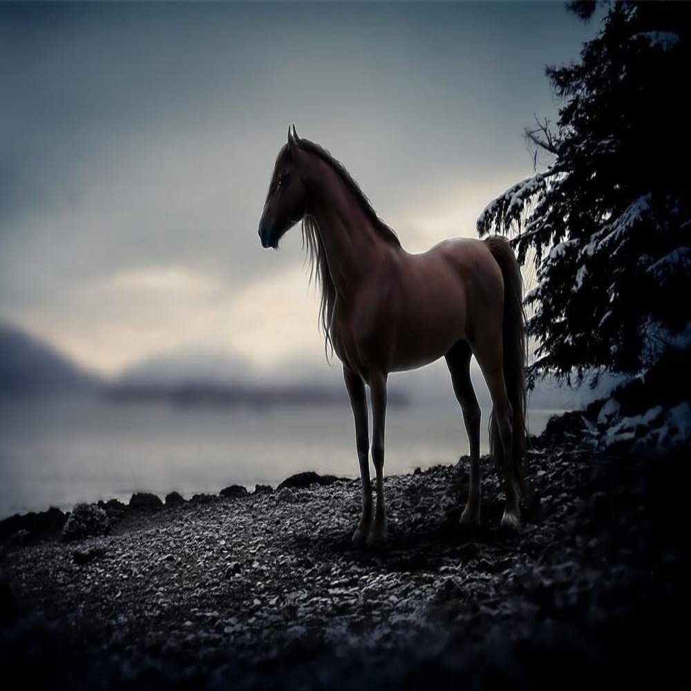 LHJOY Gifts for Boys 3D Puzzle, 1,000 Pieces, Horse, 75 x 50 cm