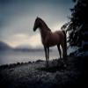 LHJOY Gifts for Boys 3D Puzzle, 1,000 Pieces, Horse, 75 x 50 cm view 1