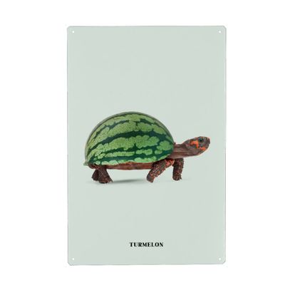 artboxONE Metal Poster 20 x 30 cm Animals Turmelon by Artist Jonas Loose