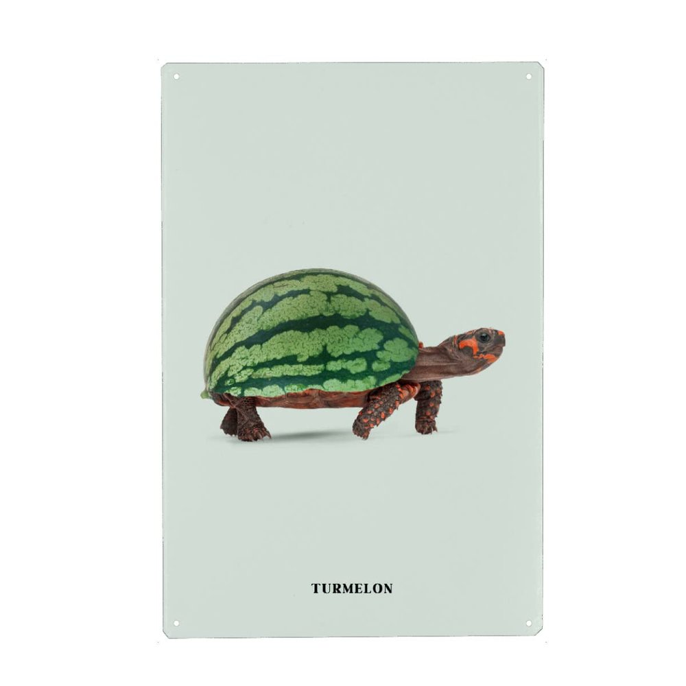 artboxONE Metal Poster 20 x 30 cm Animals Turmelon by Artist Jonas Loose