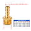 KHJK Pagoda Hose Barb Connector, 6/8/10/12/12 mm, BSP Female Thread, Brass (PL, 10 mm) view 3