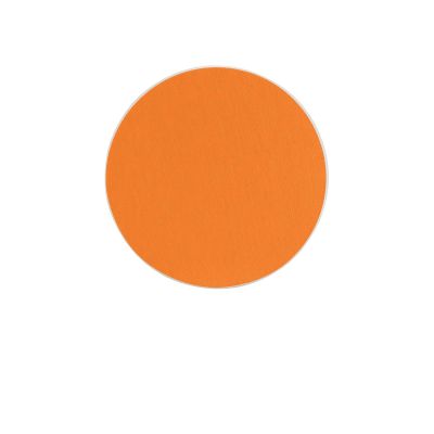 Ound Drink Absorbent Diatomite Coaster Set, Beauty Burnt Orange