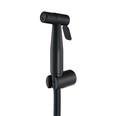 SXLSZ Bidet Handheld Sprayer with Wall Mount, 304 Stainless Steel, 1.2 m Hose, Black