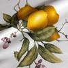 Panama Tablecloth, Lemon Print – All Sizes, 120 cm Runner view 3