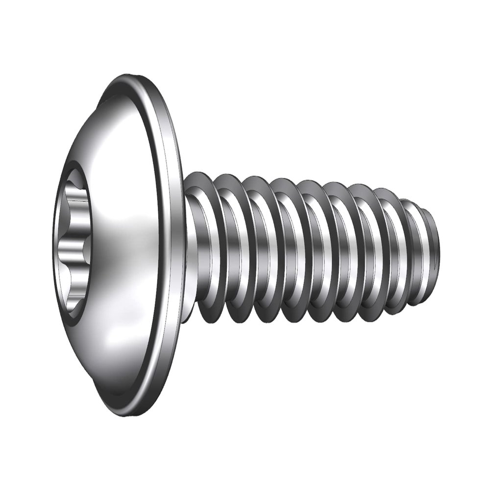 Schriever STSplus 4 x 20 mm Stainless Steel Pan-Head Screw for Thermoplastics with Washer KN6038, 10 Pieces