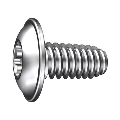 Schriever STSplus 8 x 25 mm Stainless Steel Thermoplastic Pan Head Screw with Washer KN6038, 10-Pack