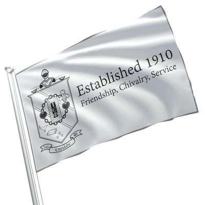 Tau Epsilon Phi Flag, Licensed Fraternity Banner, 90 x 150 cm, Indoor/Outdoor Décor, Brass Grommets, Double-Stitched (#3)