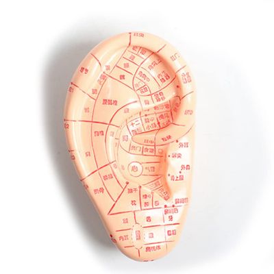 ZCBYBT Chinese Medicine Massage Ear Model, PVC, for Teaching and Display, 12 cm