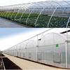 QIAOH 7 x 9 m Waterproof Transparent Tarp with Eyelets view 4