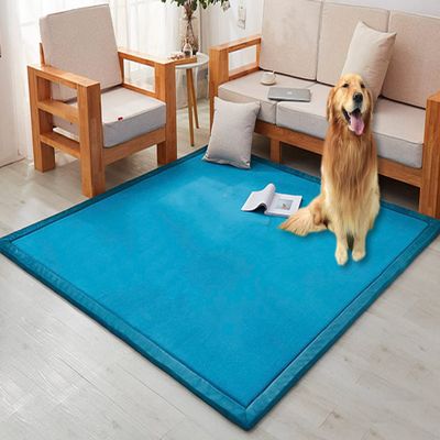 XWanitd 3 cm Thick Coral Velvet Rug, Soft Non-Slip Floor Play Mat, Crawling Mat for Home Office, Living Room, and Bedroom, 90 x 150 x 3 cm, Blue