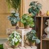 Small Artificial Potted Plants for Desktop Decor view 2