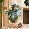 Small Artificial Potted Plants for Desktop Decor view 3