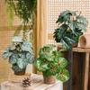 Small Artificial Potted Plants for Desktop Decor view 4