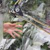 BAILR Waterproof Transparent PVC Tarp, 5 × 7 m, with Grommets, 0.4 mm view 3