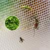WZRIOP Plant Protection and Insect Net, Fine-Mesh, White, 2.5 x 90 m (8.2 x 295.2 ft) view 3