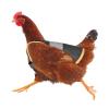 Facynde Chicken Saddle Apron for Hens, Reflective Single-Strap Poultry Cover, One Size view 1
