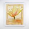 myposterframe Octavia Picture Frame 55 x 78 cm, Matte White, with Clear Acrylic Glass view 2