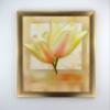 myposterframe Picture Frame 31 x 41 cm Octavia Gold Gloss with Matte Acrylic Glass view 2