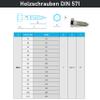 PROTECH 25-Piece M10 × 110 mm Hex-Head Wood Screw Set with M10 DIN 9021 Washers, Stainless Steel A2 view 3