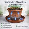 Wohnkult Round Plant Pot Saucer, 9 Sizes, 2 Colors (19 cm, Terracotta) view 3