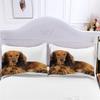 Long-Haired Dachshund Duvet Cover Set, 135 x 200 cm, 3-Piece Microfiber Bedding view 4