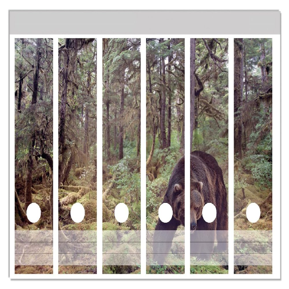 Wallario Binder Spine Stickers, Dangerous Grizzly Bear in the Forest, 6-Pack