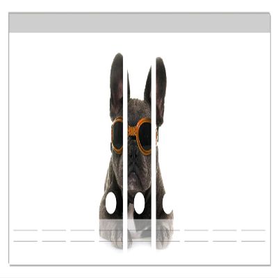 Wallario Binder Spine Stickers, Cool French Bulldog with Orange Sunglasses, 9-Pack