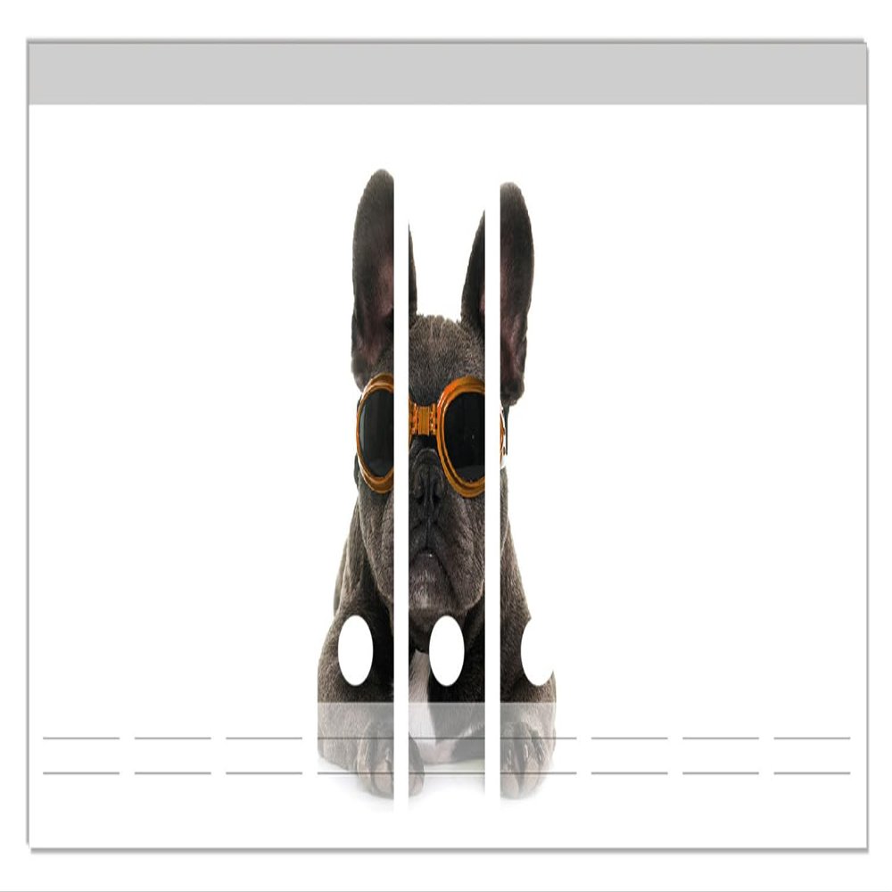 Wallario Binder Spine Stickers, Cool French Bulldog with Orange Sunglasses, 9-Pack