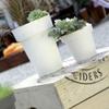 3 x Lofly Plastic Pots, White, 13.4 (L) x 13.4 (W) x 12 (H) cm view 4