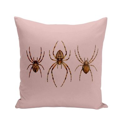 Fabulous Cushion with Cover, 40 x 40 cm, American Spiders Antique Biology Illustration