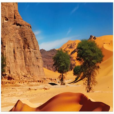 Wallario Acrylic Wall Art, 80 x 200 cm, Floating Effect – In the Sahara Desert