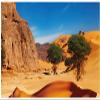 Wallario Acrylic Wall Art, 80 x 200 cm, Floating Effect – In the Sahara Desert view 1