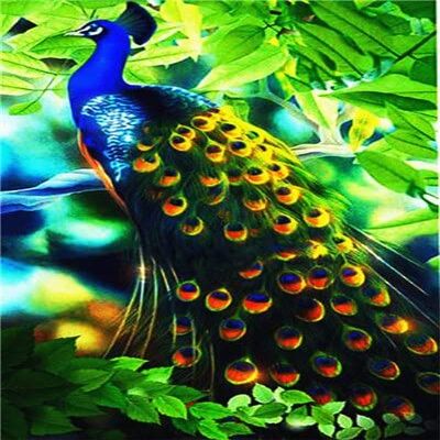Zdklfm69 Paint by Numbers Peacock Canvas DIY Painting Gift 40 x 50 cm