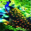 Zdklfm69 Paint by Numbers Peacock Canvas DIY Painting Gift 40 x 50 cm view 1