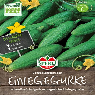 80756 Sperli Premium 'Vorgebirgstrauben' Pickling Cucumber Seeds