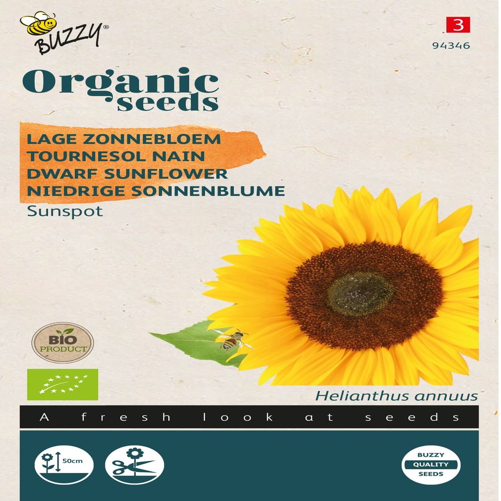 Buzzy Organic Low-Growing Sunflower Sunspot