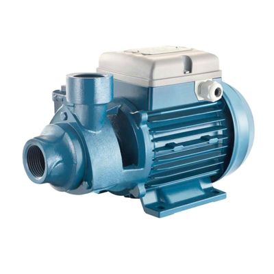 FORAS PE100T Electric Peripheral Pump, Made in Italy, Continuous Duty, 230/400 V, 0.74 kW