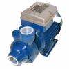 FORAS PE100T Electric Peripheral Pump, Made in Italy, Continuous Duty, 230/400 V, 0.74 kW view 2
