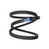 SWR Classic C124 V-Belt, 22 x 3150 Li view 1