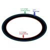SWR Classic C124 V-Belt, 22 x 3150 Li view 3