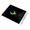 Alien – The Uncanny Creature Poster 20 x 30 cm view 2