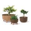Prosperplast Gracia Standard Eco Wood Planter with Removable Legs and Insert, 290 mm, ECO Anthracite view 3